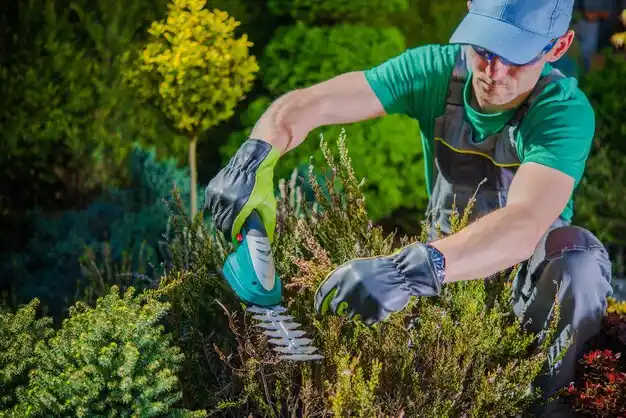 landscaping services Watersmeet